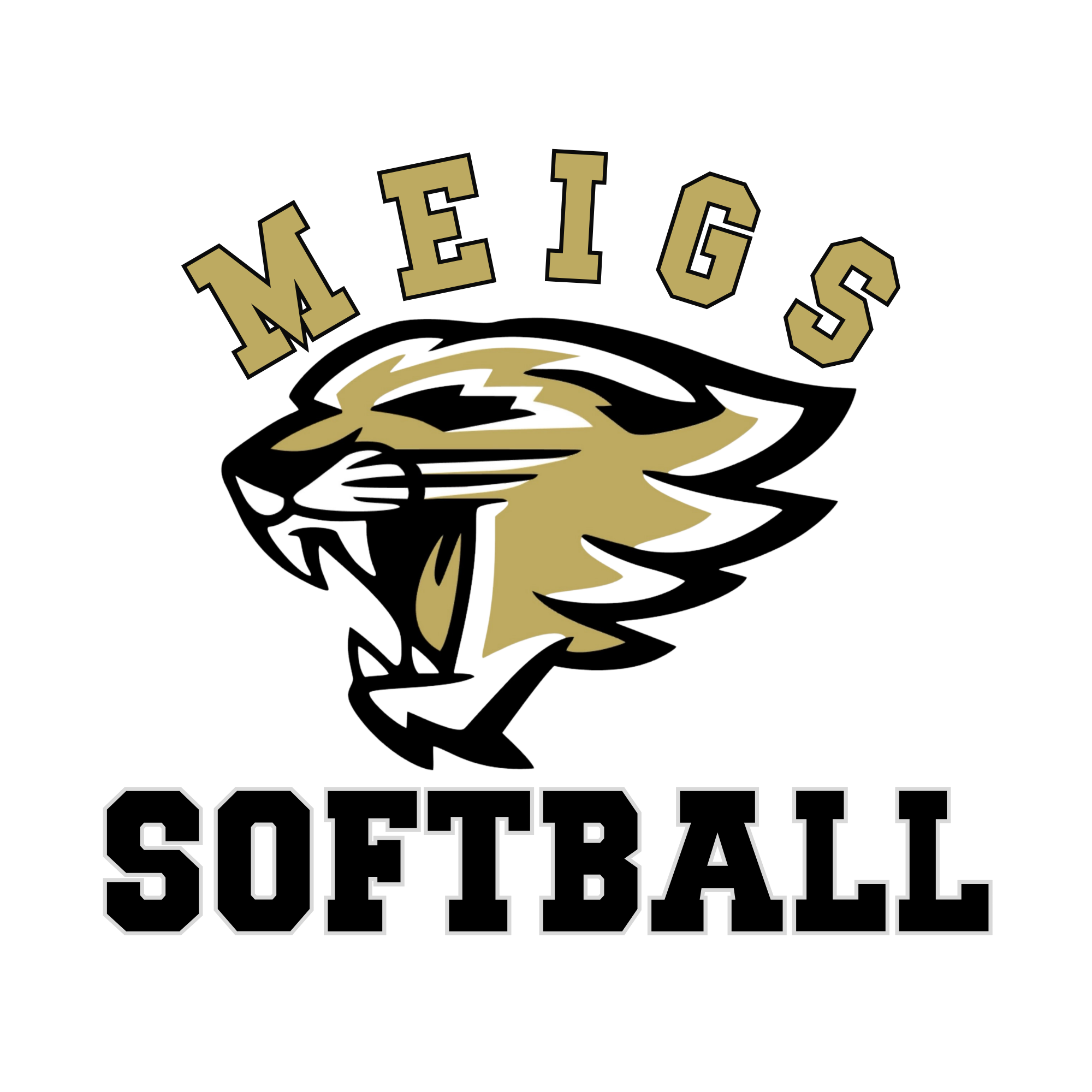 Meigs Softball Logo